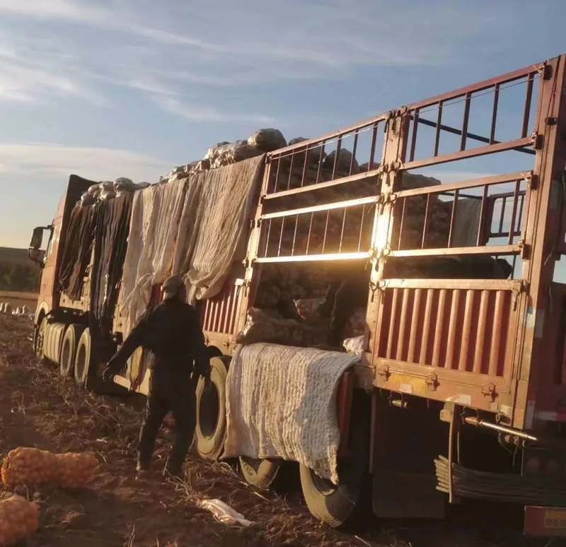 Jilin spring potato plantation technology