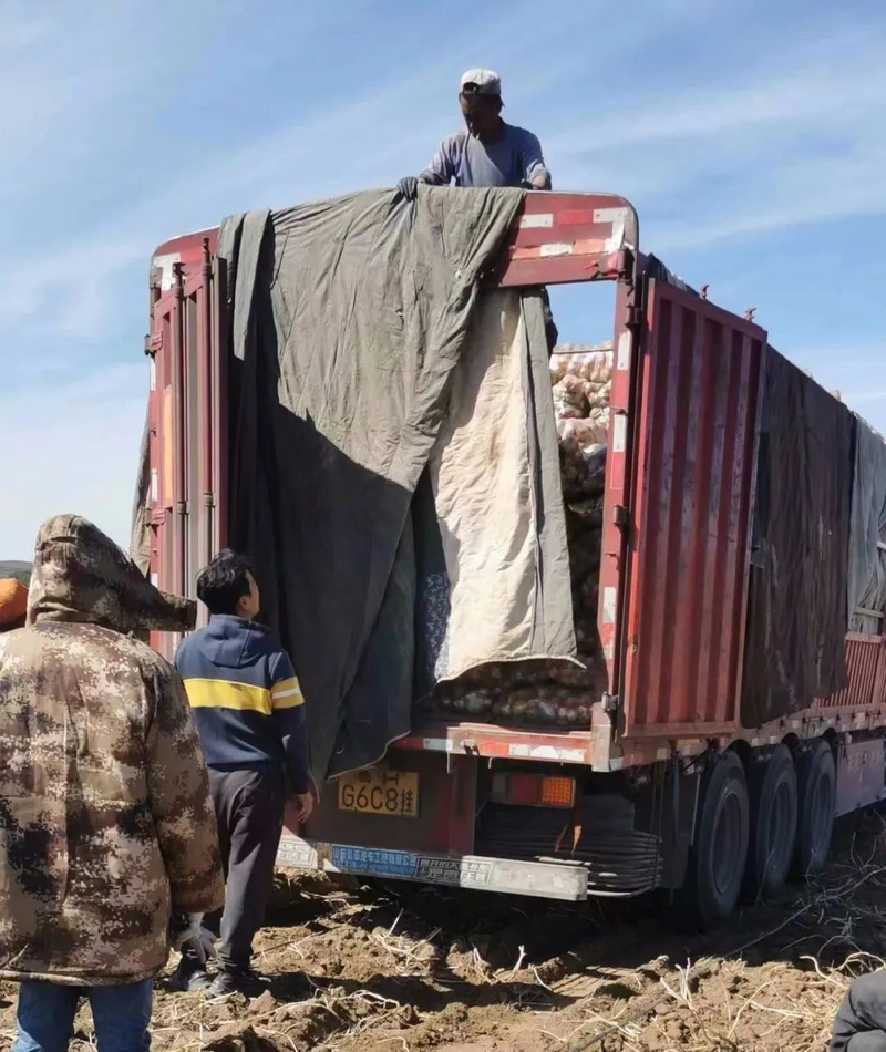 Jilin spring potato plantation technology