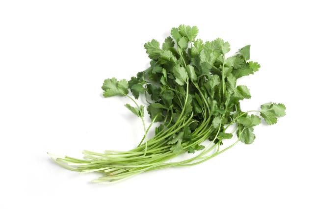 Cucumber cultivation methods