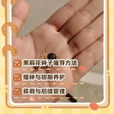 茉莉种子的种植方法