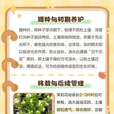 茉莉种子的种植方法