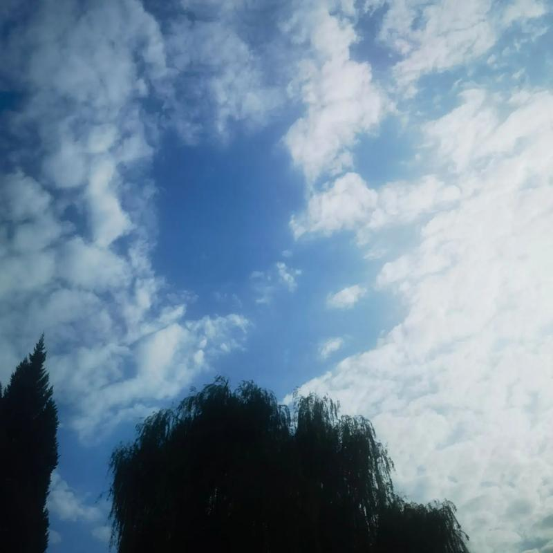 Interpersonal relations theory