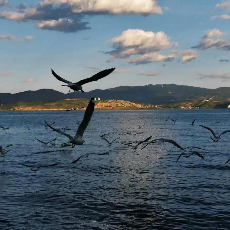 Interpersonal relations theory