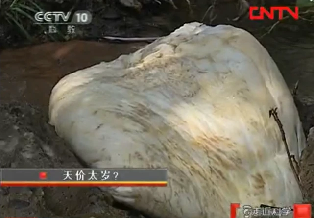 Alcohol fermentation