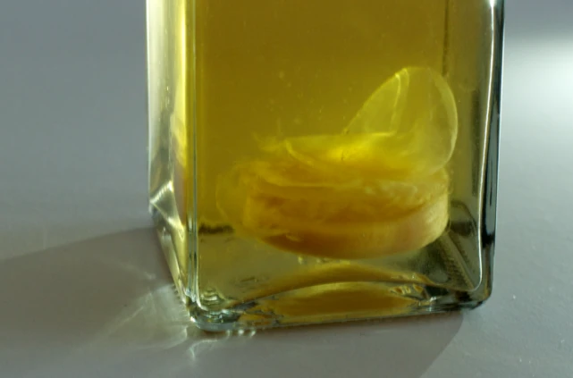 Alcohol fermentation