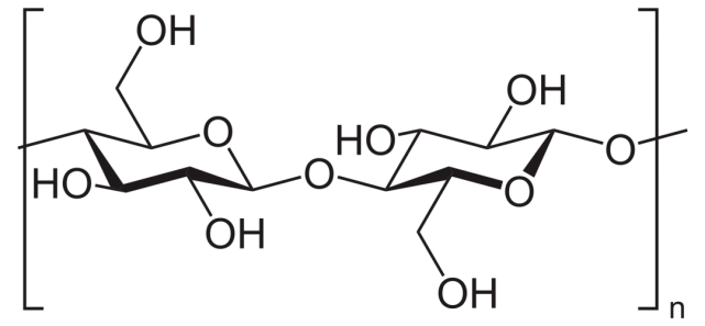 Alcohol fermentation