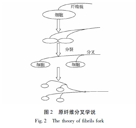 Alcohol fermentation
