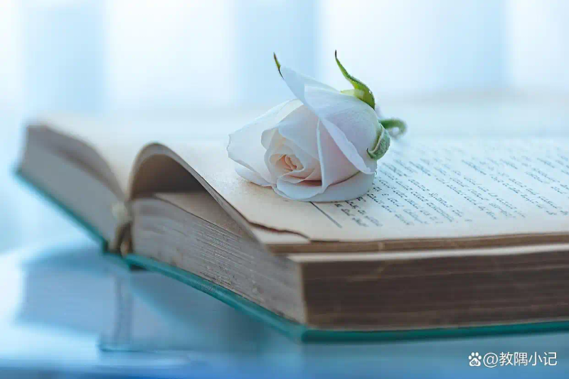 高中文言文常识