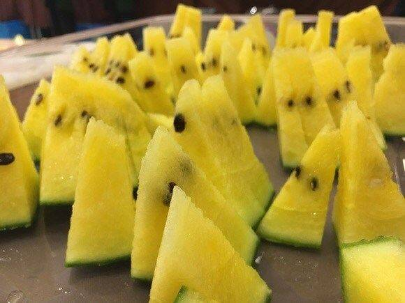 Early childhood, 8424 watermelon cultivation techniques