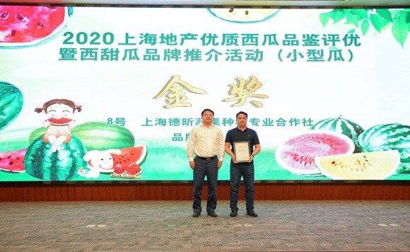 Early childhood, 8424 watermelon cultivation techniques