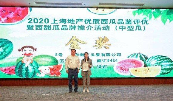 Early childhood, 8424 watermelon cultivation techniques