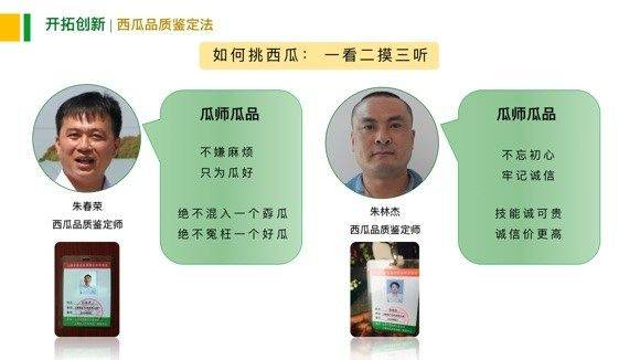 Early childhood, 8424 watermelon cultivation techniques