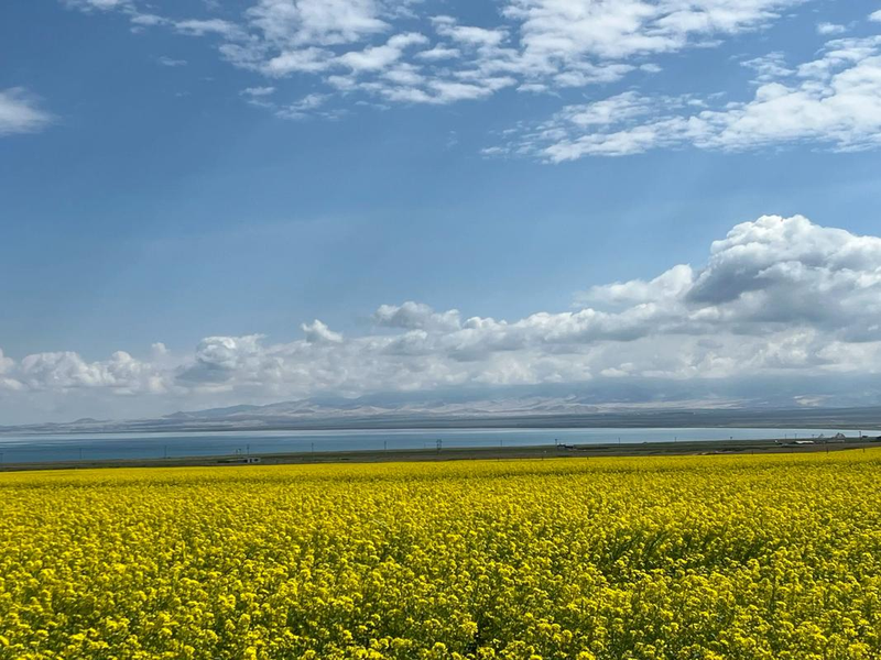 Brief description of the causes and trends of lake malawi
