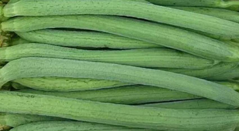 Cucumber cultivation methods