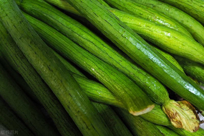 Cucumber cultivation methods