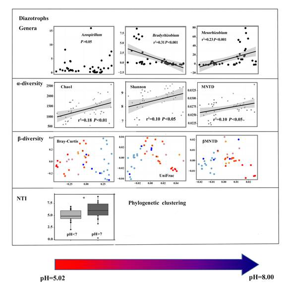 The mechanism of the nitrogen-fixing bacteria