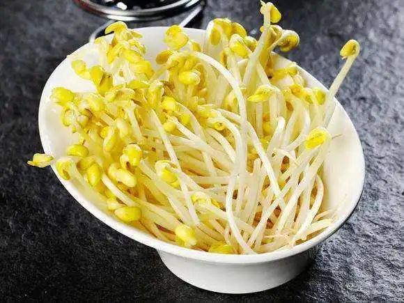 Picture of sprouts growing technology