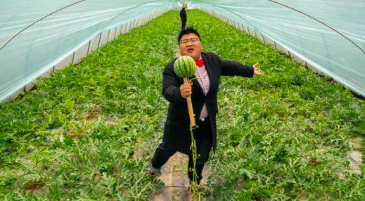 Early childhood, 8424 watermelon cultivation techniques