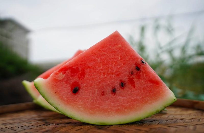 Early childhood, 8424 watermelon cultivation techniques