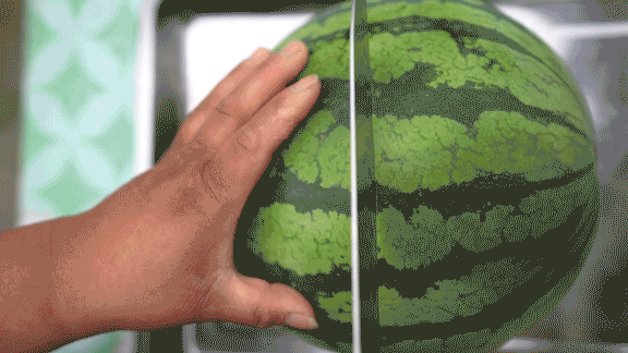 Early childhood, 8424 watermelon cultivation techniques