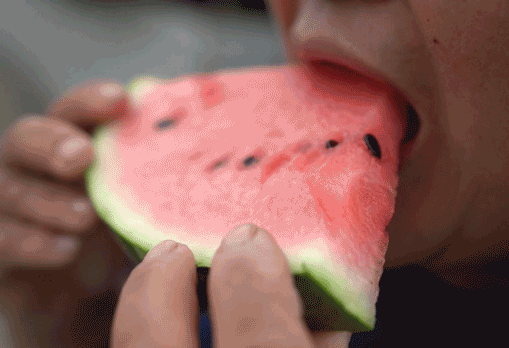 Early childhood, 8424 watermelon cultivation techniques