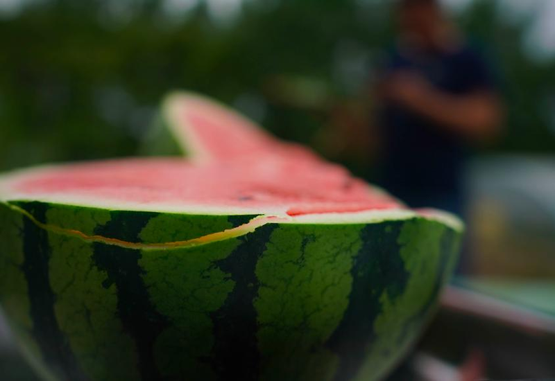 Early childhood, 8424 watermelon cultivation techniques
