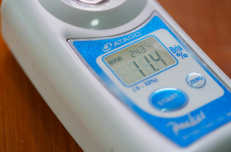 Early childhood, 8424 watermelon cultivation techniques