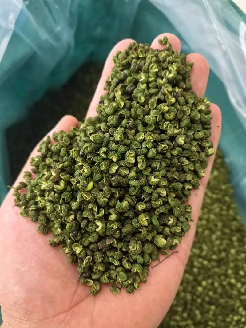 九叶青花椒种植技术