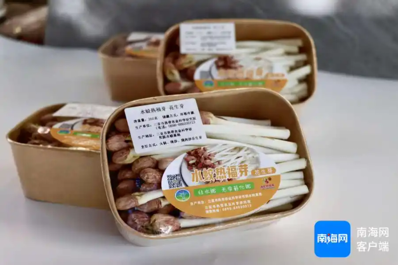 Picture of sprouts growing technology