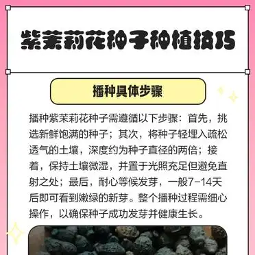 茉莉种子的种植方法