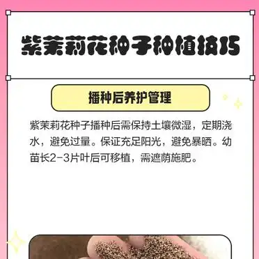 茉莉种子的种植方法