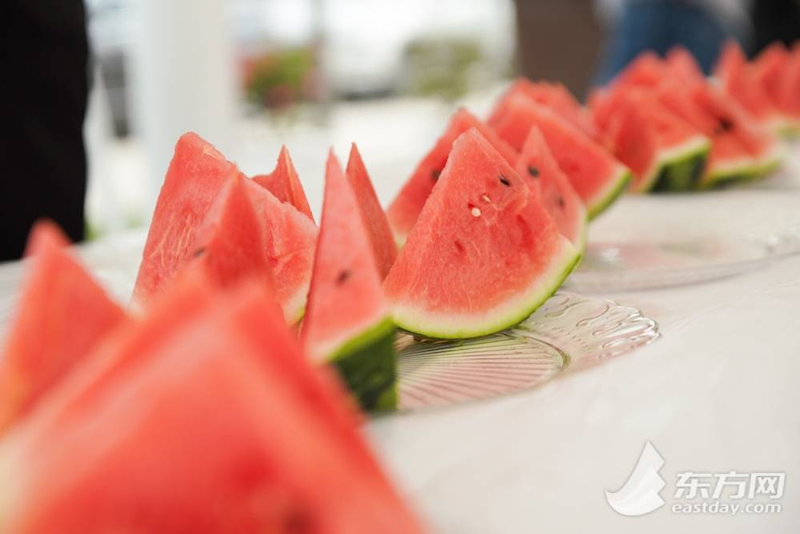 早佳8424西瓜种植技术