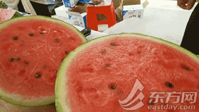 早佳8424西瓜种植技术