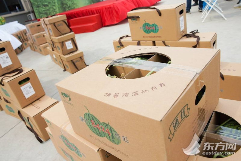 早佳8424西瓜种植技术