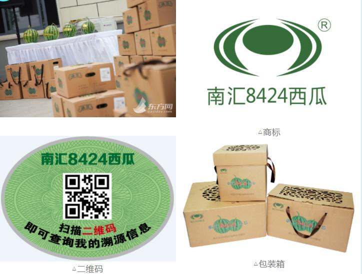 早佳8424西瓜种植技术