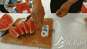 早佳8424西瓜种植技术