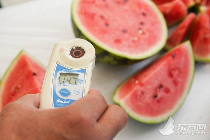 早佳8424西瓜种植技术