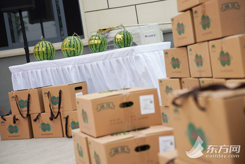 早佳8424西瓜种植技术