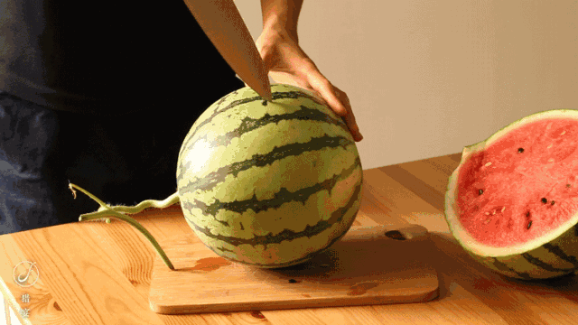 Early childhood, 8424 watermelon cultivation techniques