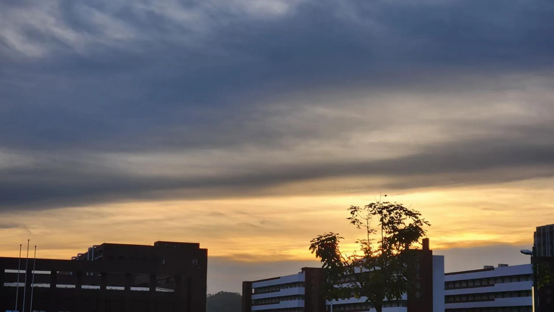 It's a successful cure for chlorazine