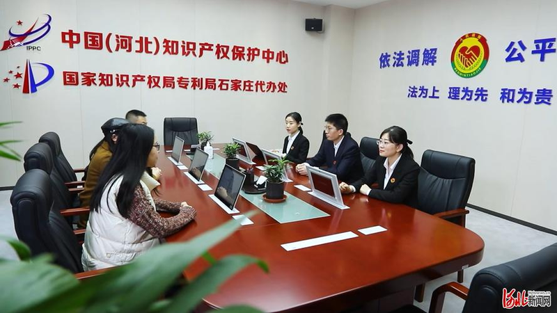 知识产权权益保护机制