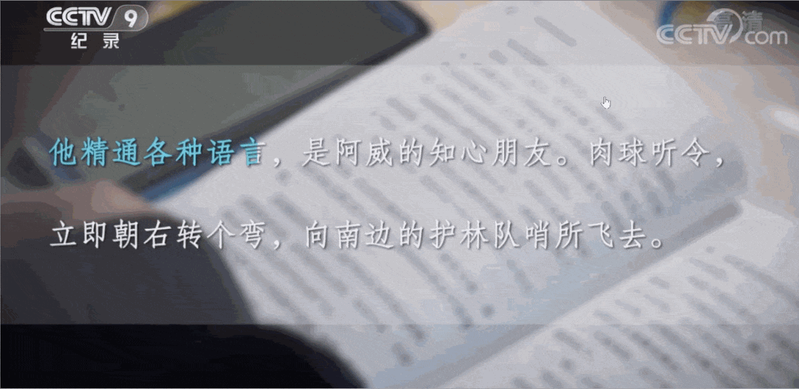 青少年读写障碍的成因和对策初探