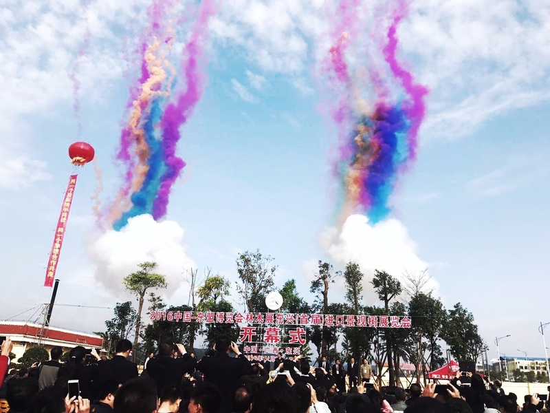 东兴红木批发价格暴跌