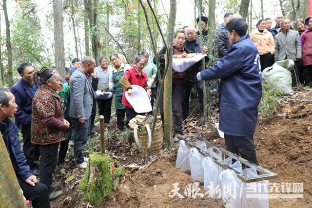 Technological materials for the cultivation of cynics