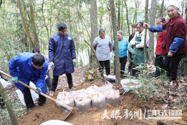 Technological materials for the cultivation of cynics