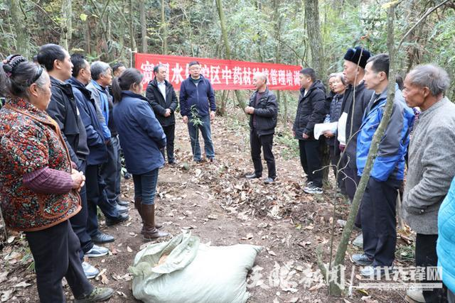 Technological materials for the cultivation of cynics