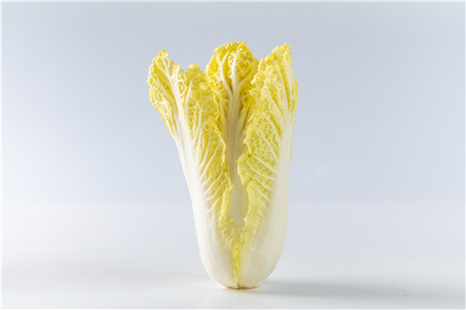 白菜的种植方法