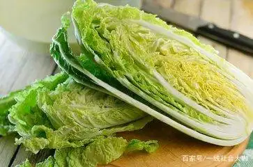 白菜的种植方法