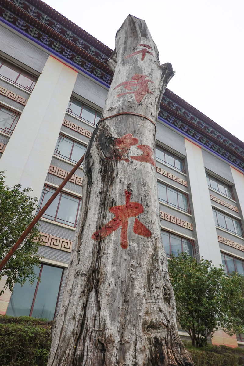 The wholesale price of dong hing has fallen