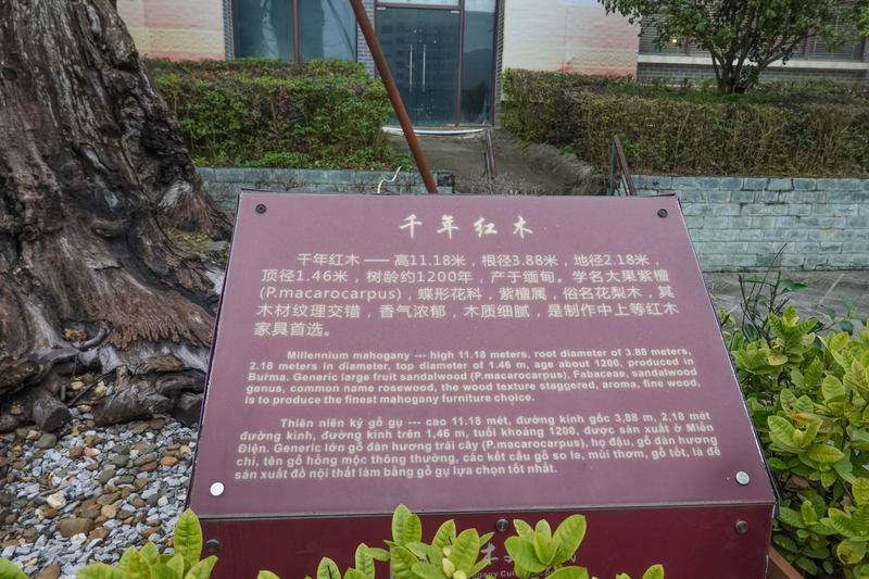 The wholesale price of dong hing has fallen